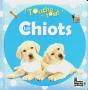 Touche-A-Tout - Les Chiots - Preview