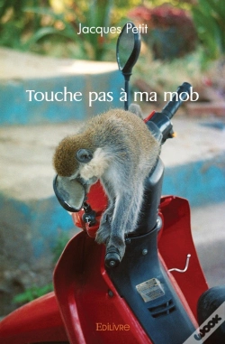 Capa do artigo Touche Pas À Ma Mob