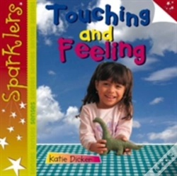 Capa do artigo Touching And Feeling