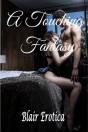 Touching Fantasy - Preview