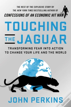 Capa do artigo Touching The Jaguar
