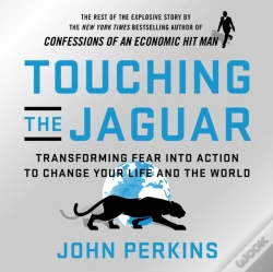 Capa do artigo Touching The Jaguar