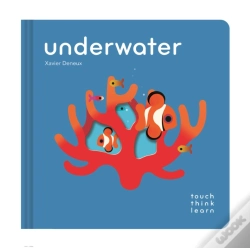 Capa do artigo Touchthinklearn: Underwater