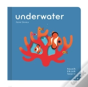 Capa do artigo Touchthinklearn: Underwater