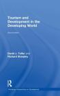 Tourism And Development In The Developing World - Preview