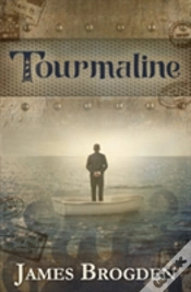 Capa do artigo Tourmaline
