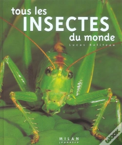 Capa do artigo Tous Les Insectes Du Monde