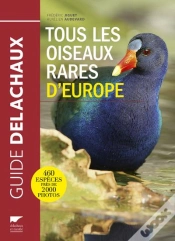 Capa do artigo Tous Les Oiseaux Rares D