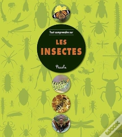 Capa do artigo Tout Comprendre Sur/Les Insectes
