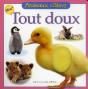 Tout Doux - Preview