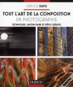 Capa do artigo Tout L'Art De La Composition En Photographie ; Techniques, Savoir-Faire Et Defis Creatifs