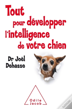 Capa do artigo Tout Pour Développer L'Intelligence De Votre Chien
