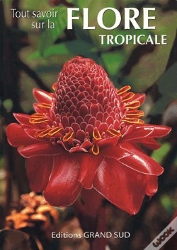 Capa do artigo Tout Savoir Sur La Flore Tropicale