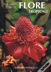 Tout Savoir Sur La Flore Tropicale