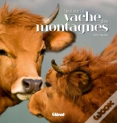 Tout Sur La Vache Des Montagnes