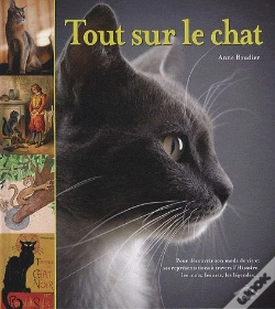 Capa do artigo Tout Sur Le Chat
