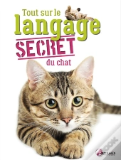 Tout Sur Le Langage Secret Du Chat