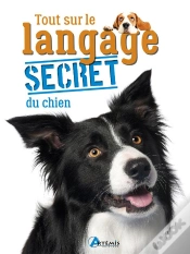 Capa do artigo Tout Sur Le Langage Secret Du Chien