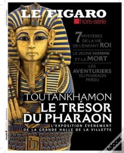 Capa do artigo Toutankhamon L'Enigme Du Jeune Pharaon