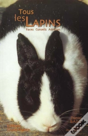 Capa do artigo Toutes Les Races De Lapins