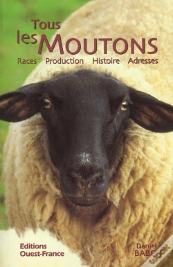 Capa do artigo Toutes Les Races De Moutons