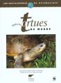 Toutes Les Tortues Du Monde - Preview