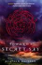 Toward A Secret Sky - Preview