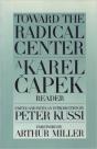 Toward The Radical Centre - Preview