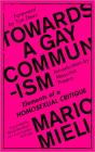 Towards A Gay Communism - Preview