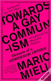 Capa do artigo Towards A Gay Communism