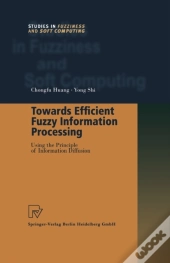 Towards Efficient Fuzzy Information Processing