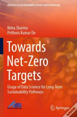 Capa do artigo Towards Net-Zero Targets