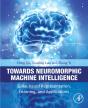 Towards Neuromorphic Machine Intelligence - Preview