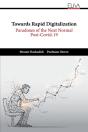 Towards Rapid Digitalization: Paradoxes - Preview