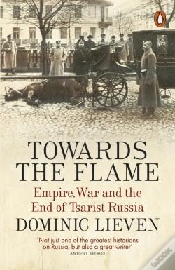 Capa do artigo Towards The Flame