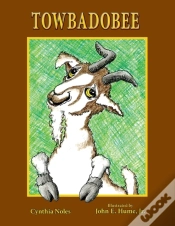 Capa do artigo Towbadobee