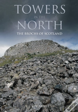 Capa do artigo Towers In The North