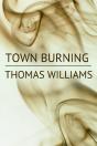 Town Burning - Preview