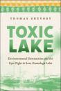 Toxic Lake - Preview