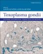 Toxoplasma Gondii - Preview