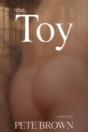 Toy - Preview