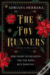Capa do artigo Toy Runners