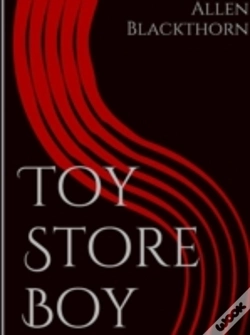 Capa do artigo Toy Store Boy