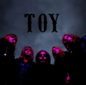 Capa do artigo TOY - Vinil