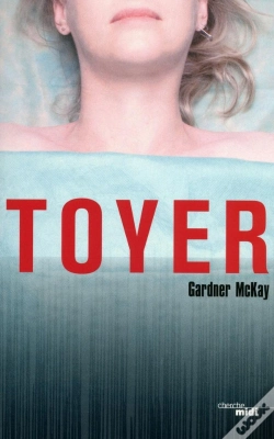 Capa do artigo Toyer