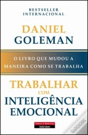 Capa do artigo Trabalhar com Inteligência Emocional