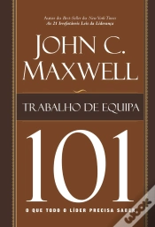 Capa do artigo Trabalho de Equipa 101