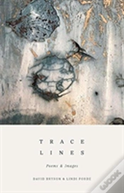 Capa do artigo Trace Lines