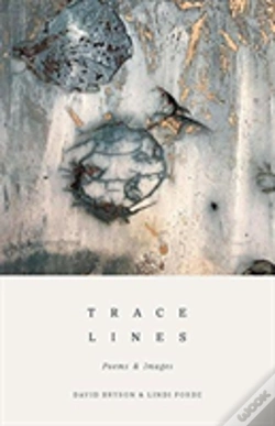 Capa do artigo Trace Lines
