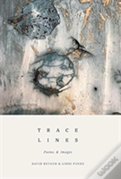 Capa do artigo Trace Lines